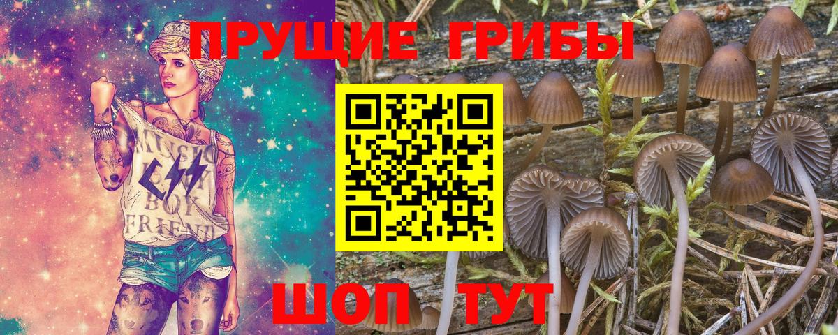 Галлюциногенные грибы GOLDEN TEACHER Красногорск