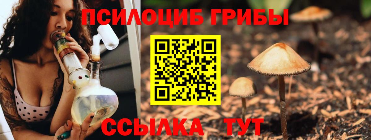 Псилоцибиновые грибы мухоморы  Псилоцибиновые грибы Cubensis  Красногорск  Вход с VPN 